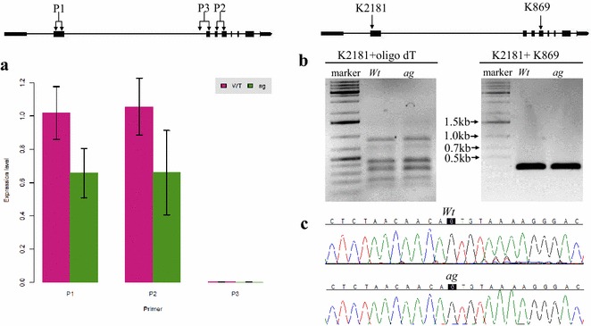 Fig. 6