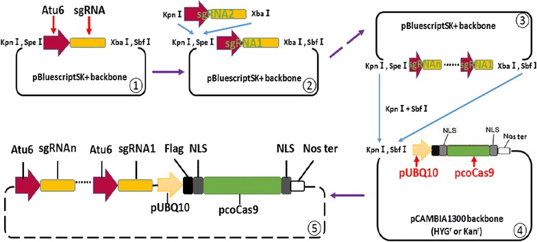 Fig. 1