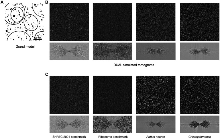 Figure 3:
