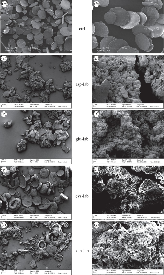 Figure 3.