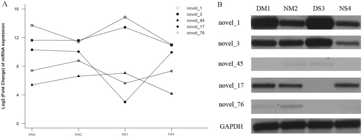 Figure 4