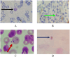 Fig. 2