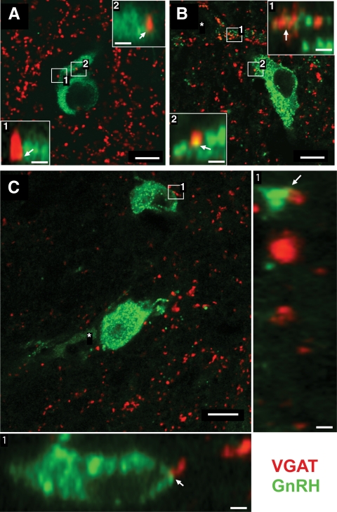 Fig. 6.