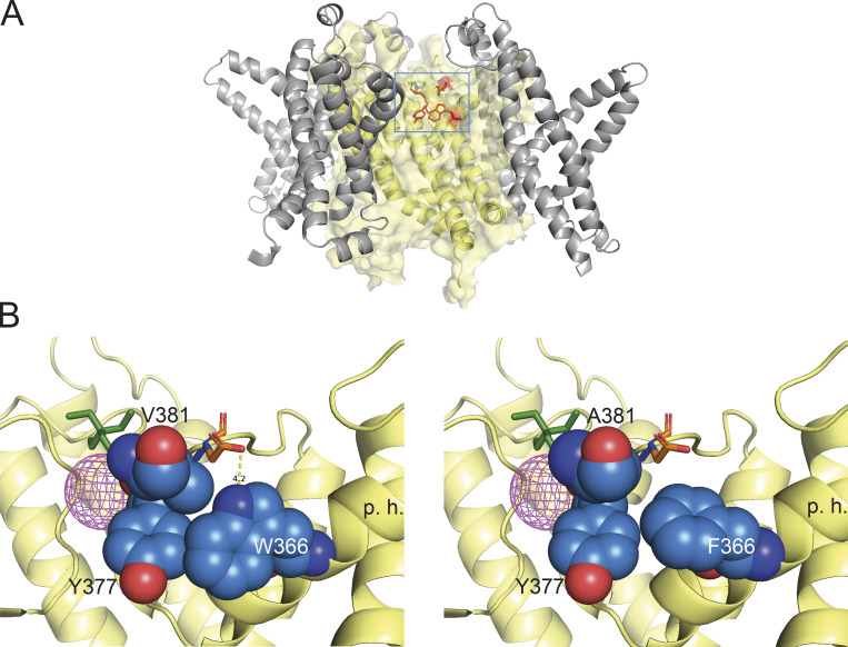 Figure 9.