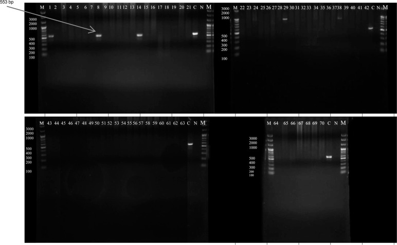 Fig. 3.