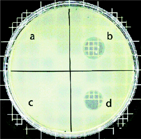 FIG. 1.