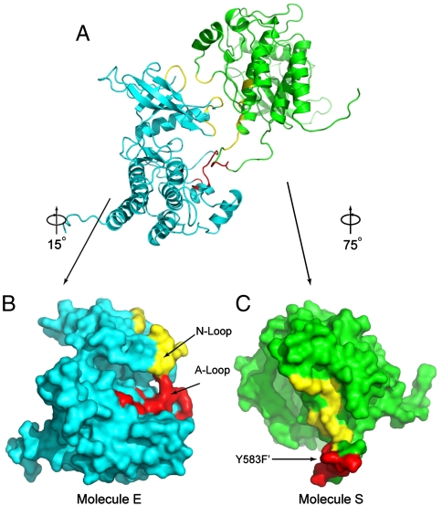 Fig. 2.