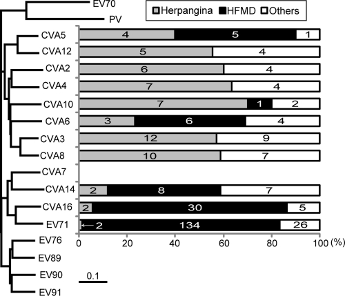 Fig 5