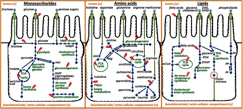 Figure 2.