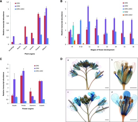 Figure 3.