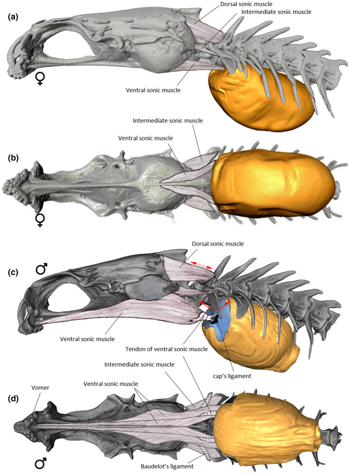 FIGURE 15