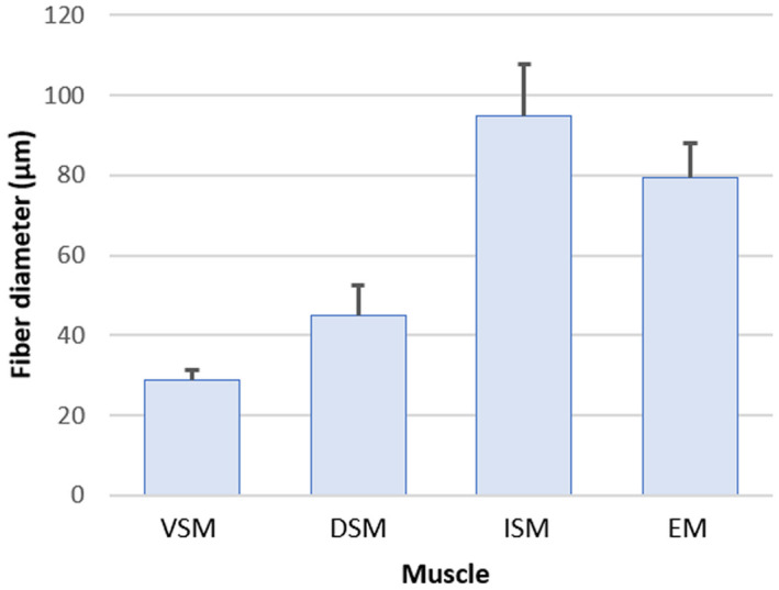 FIGURE 17