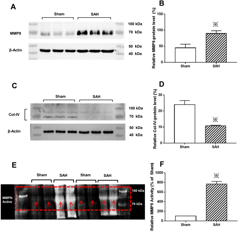 Fig. 10