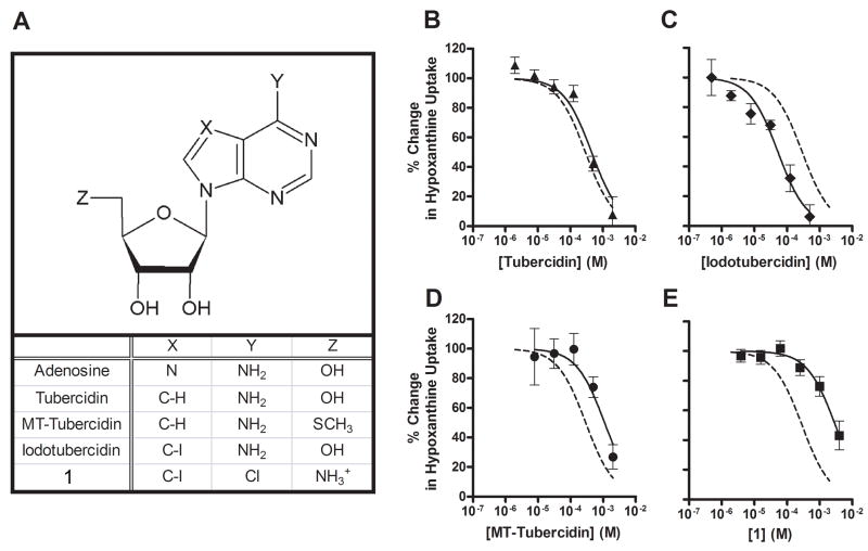 Fig. 5