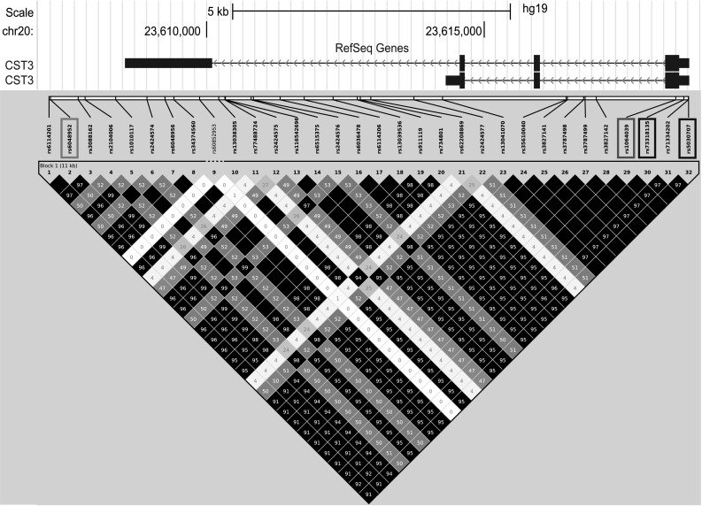 Fig. 5