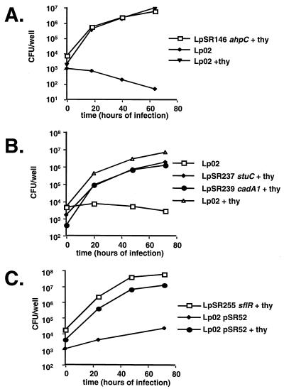 FIG. 2.