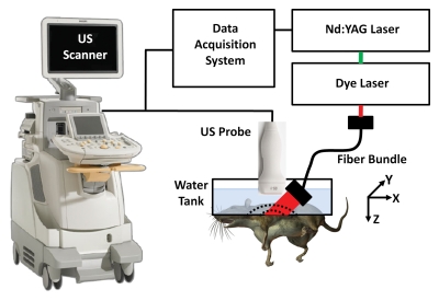 Figure 1: