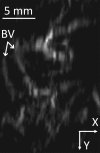 Figure 5a: