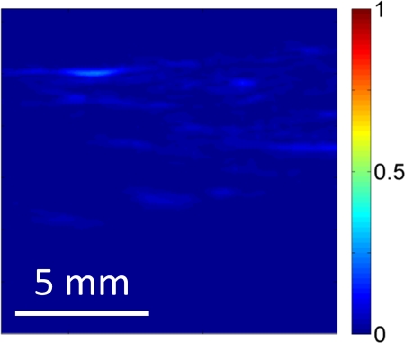 Figure 2d: