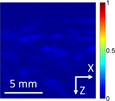 Figure 2a: