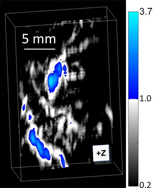 Figure 5e: