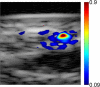 Figure 2c: