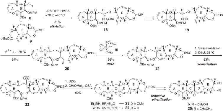 Scheme 2. 