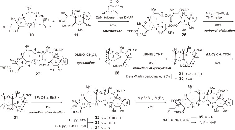 Scheme 3. 