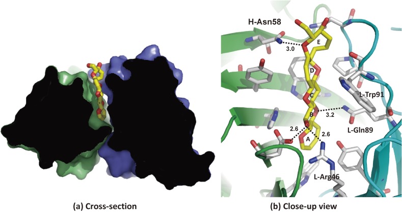 Figure 6. 