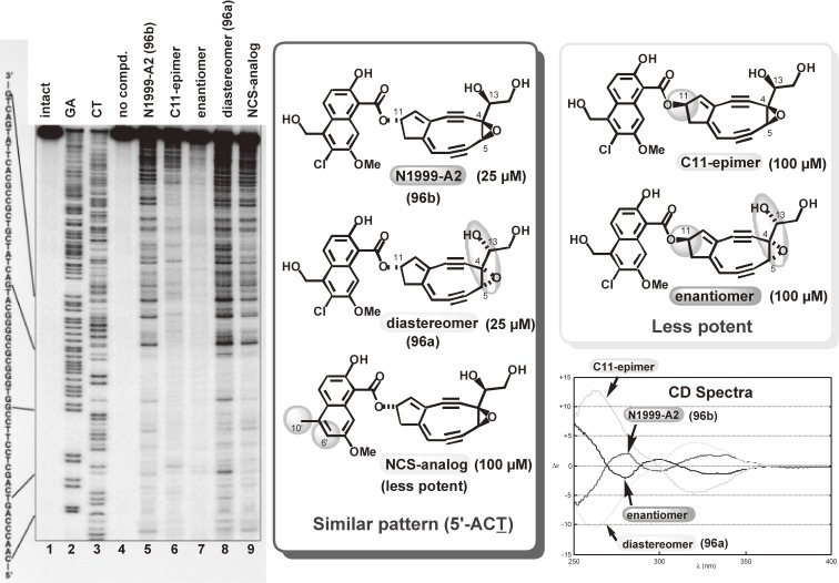 Figure 17. 