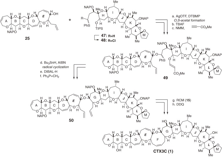 Scheme 5. 