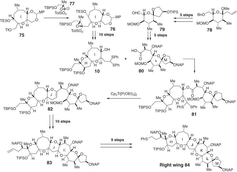 Scheme 8. 