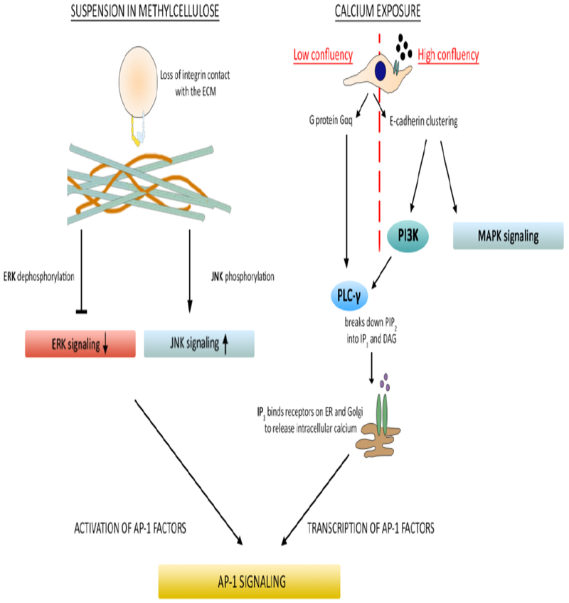 Fig 3.