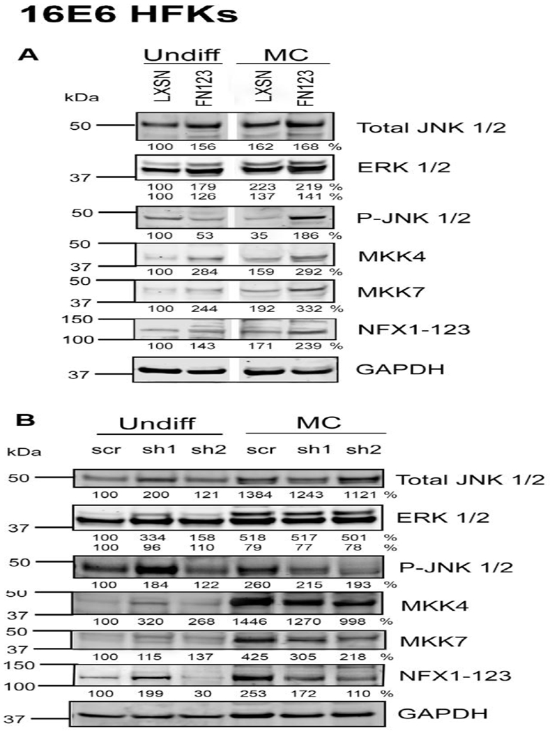 Fig 4.