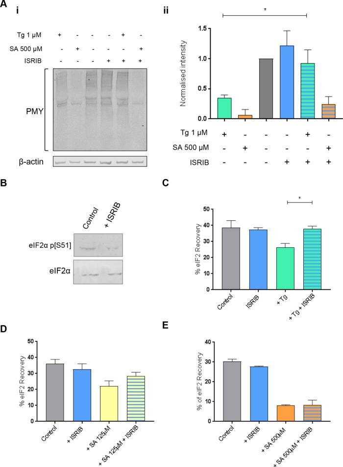 FIGURE 5: