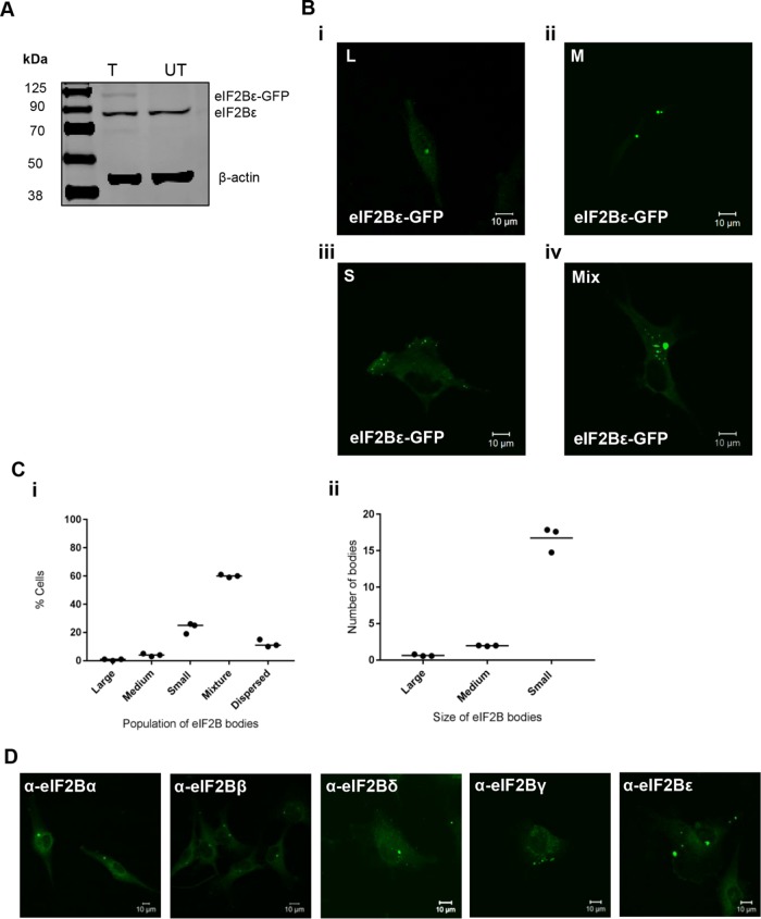 FIGURE 1: