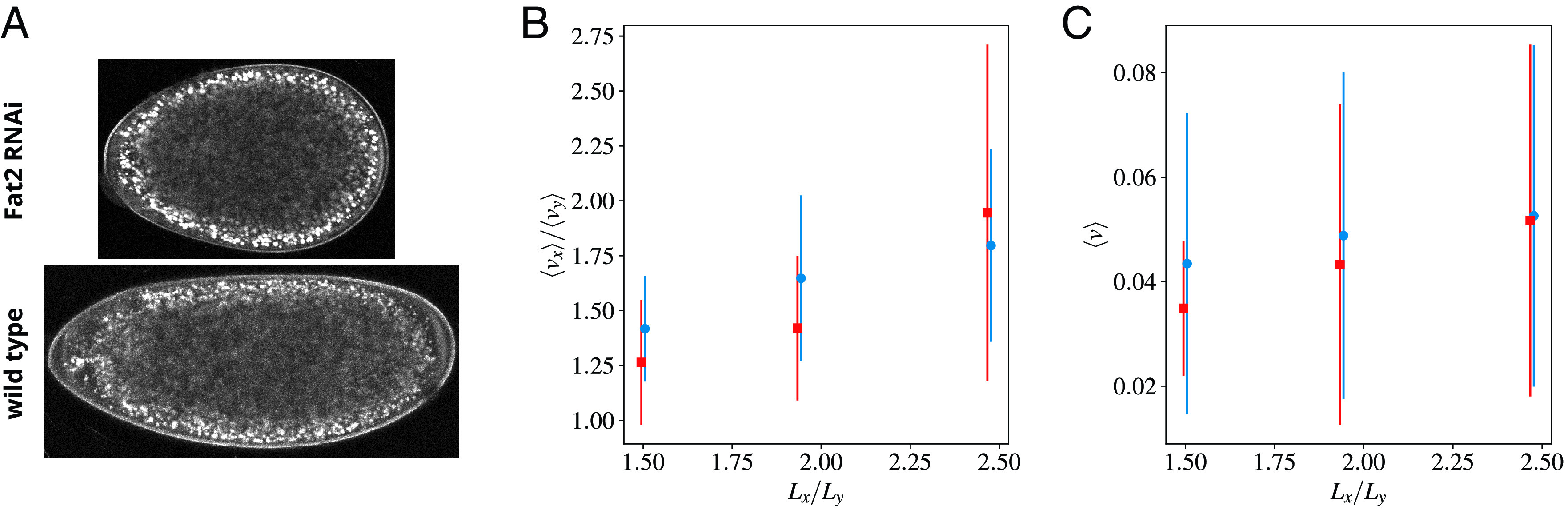 Fig. 9.