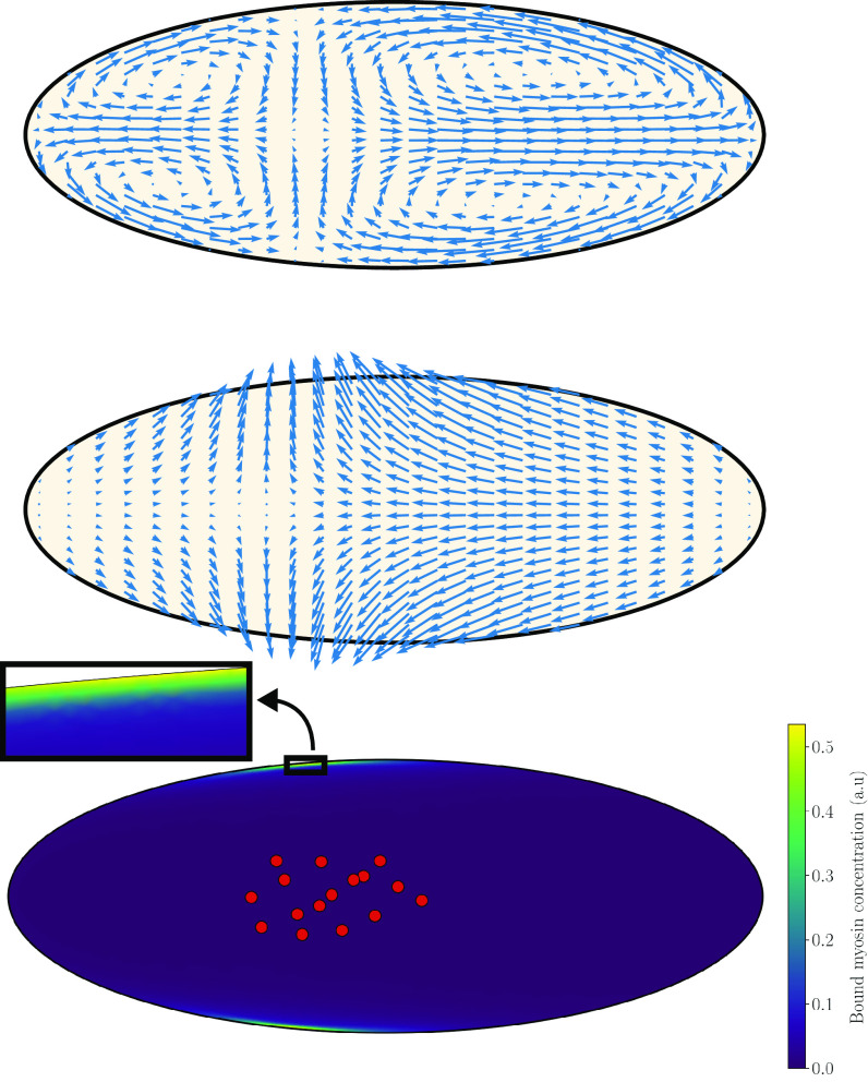 Fig. 4.