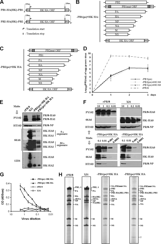 FIG. 2.