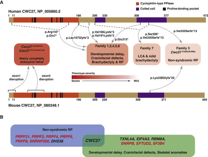 Figure 6