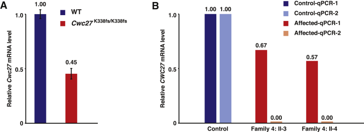 Figure 5