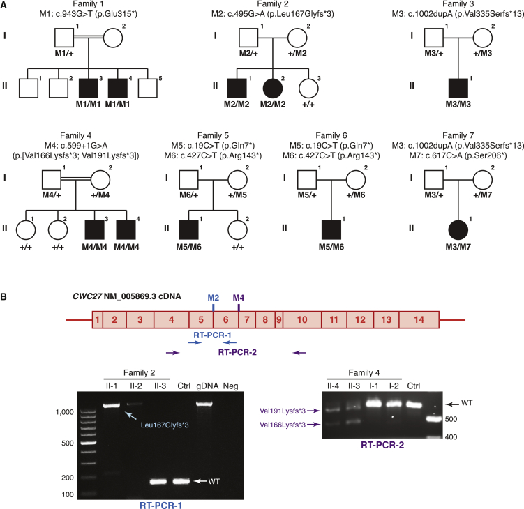 Figure 2