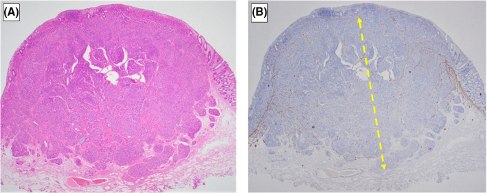 FIGURE 3