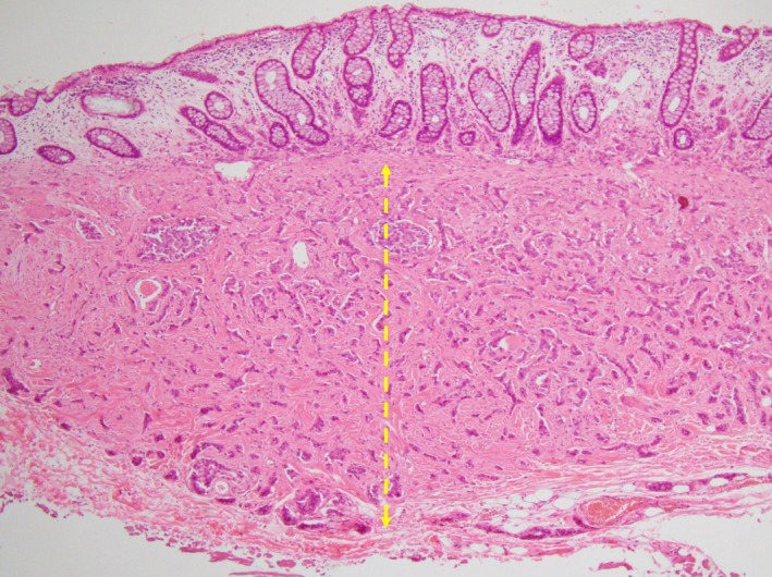 FIGURE 2