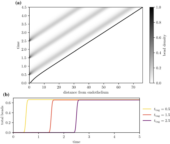 Fig. 13