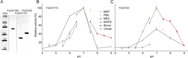 FIG 2