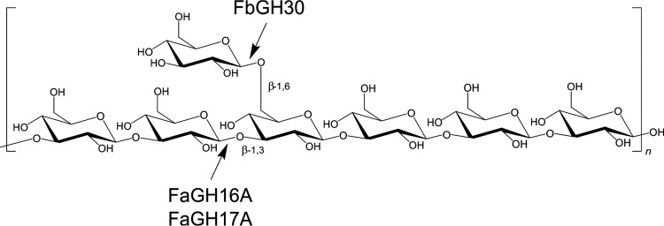 FIG 1