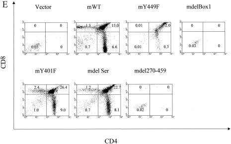 FIG. 12.