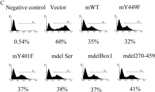 FIG. 12.