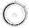FIG. 1.